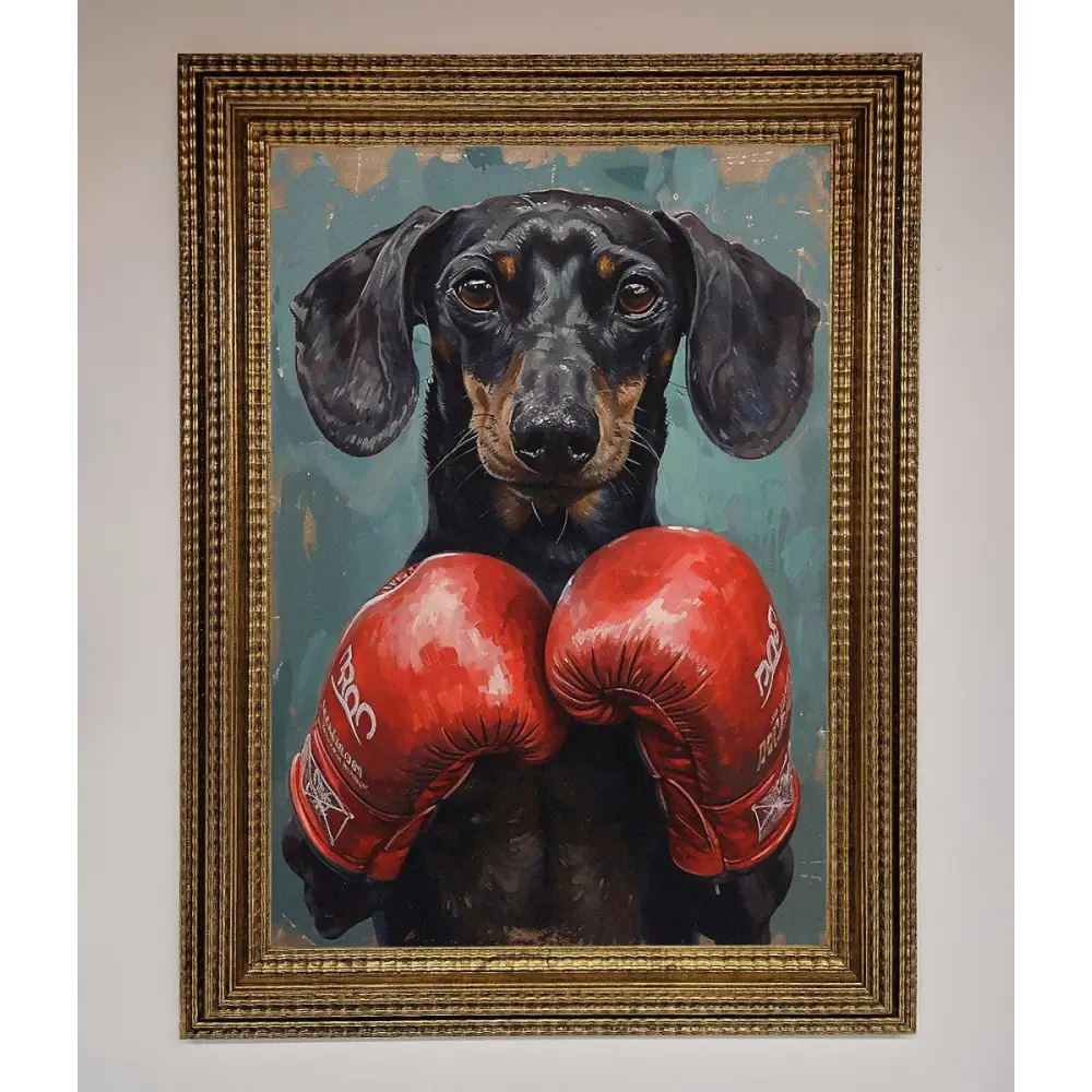 Sausage Dog Boxing Framed Print - A3 (29.7 x 42 cm) / Ornate Gold - Framed Print