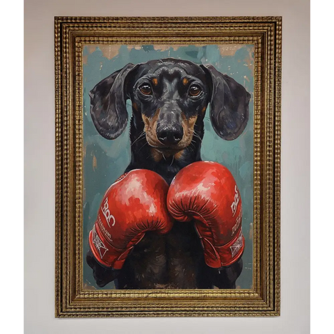 Sausage Dog Boxing Framed Print - A3 (29.7 x 42 cm) / Ornate Gold - Framed Print