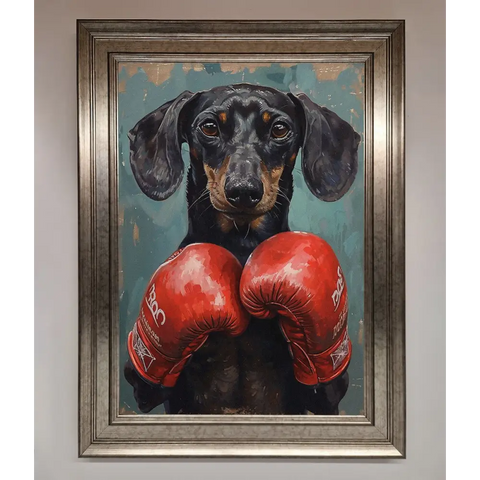 Sausage Dog Boxing Framed Print - A3 (29.7 x 42 cm) / Silver - Framed Print