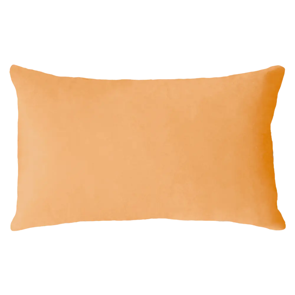 Scorpio Season Needlepoint Cushion - Cushion