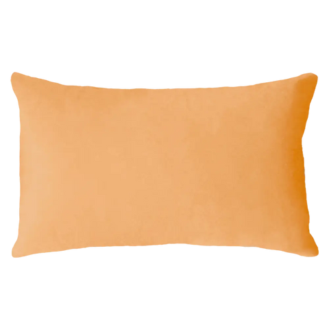 Scorpio Season Needlepoint Cushion - Cushion