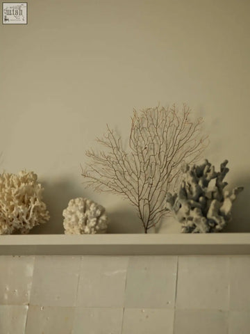 A delicate matte gray coral replica on a shelf next to seaweed and samphire diffuser with zesty citrus 100ml fragrance vegetable oil base