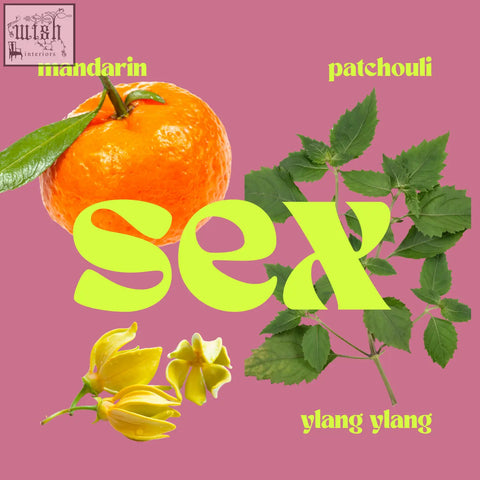 A vibrant orange mandarin with glossy peel and green leaf for sex mini candle infused with essential oils