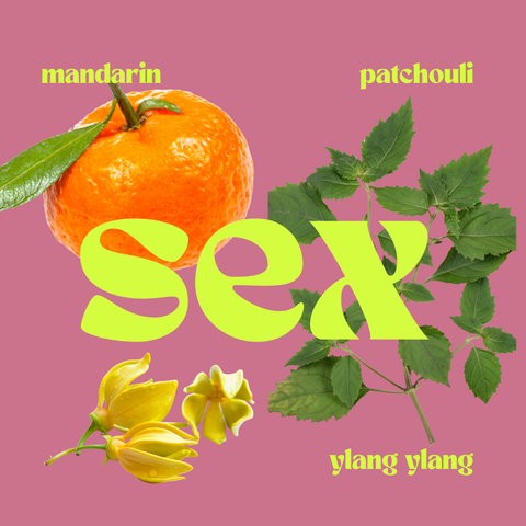 SEX MINI: The Seductive Candle