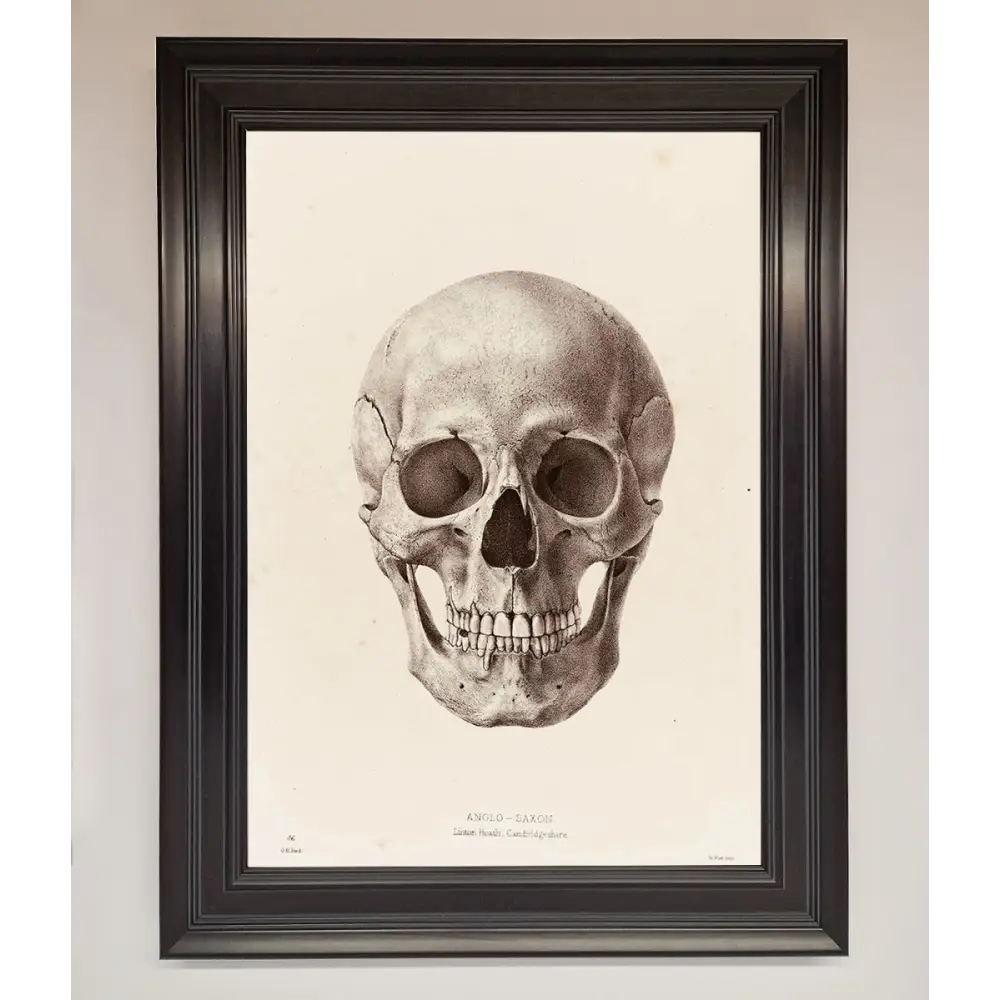 Skull Science Framed Poster - A1 (59.4 x 84.1 cm) / Matt Black - Framed Print