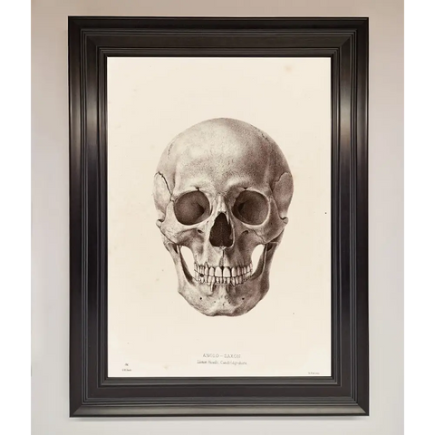 Skull Science Framed Poster - A1 (59.4 x 84.1 cm) / Matt Black - Framed Print