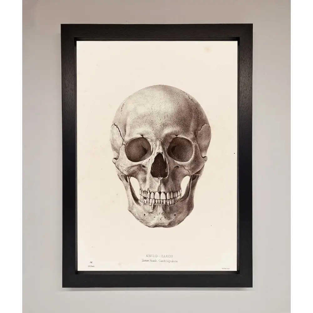 Skull Science Framed Poster - A3 (29.7 x 42 cm) / Black - Framed Print