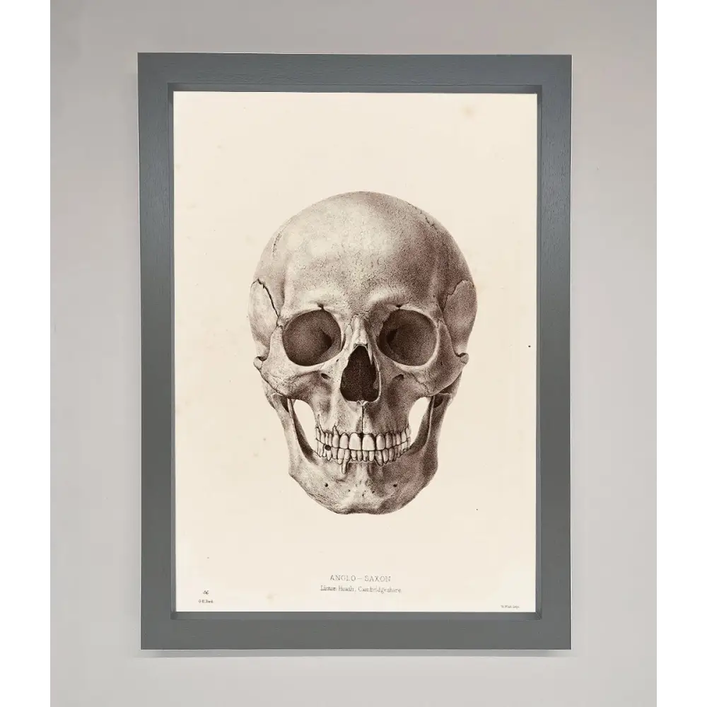 Skull Science Framed Poster - A3 (29.7 x 42 cm) / Dark Grey - Framed Print