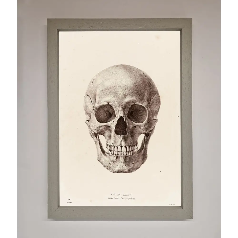 Skull Science Framed Poster - A3 (29.7 x 42 cm) / Grey - Framed Print