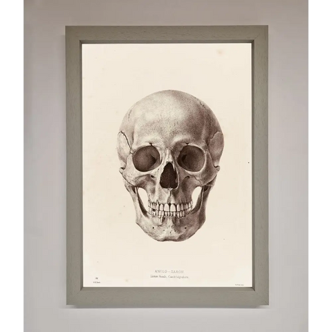 Skull Science Framed Poster - A3 (29.7 x 42 cm) / Grey - Framed Print