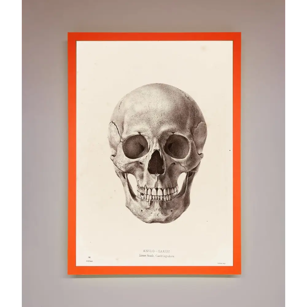 Skull Science Framed Poster - A3 (29.7 x 42 cm) / Neon Orange - Framed Print