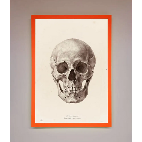 Skull Science Framed Poster - A3 (29.7 x 42 cm) / Neon Orange - Framed Print
