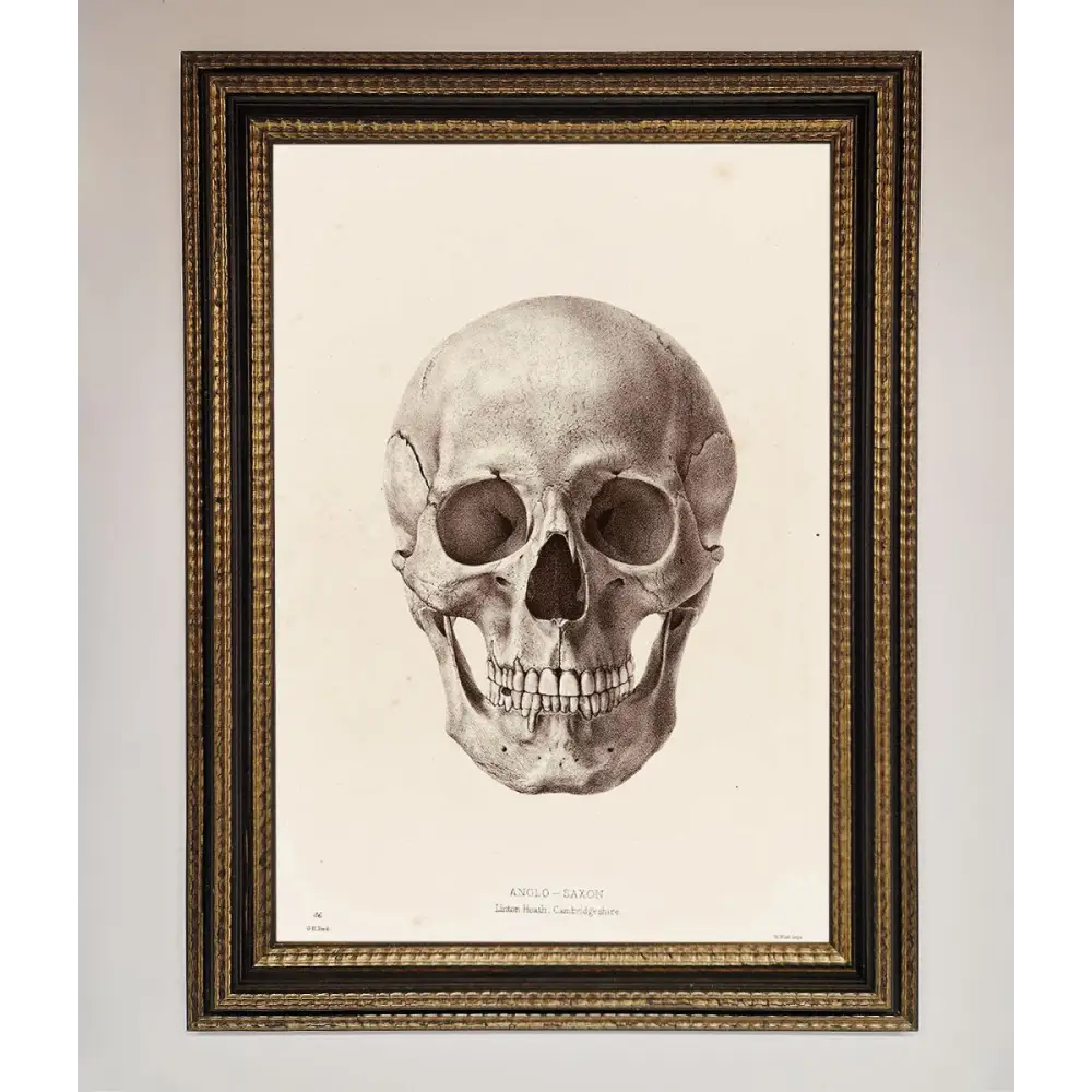 Skull Science Framed Poster - A3 (29.7 x 42 cm) / Ornate Gold Black - Framed Print