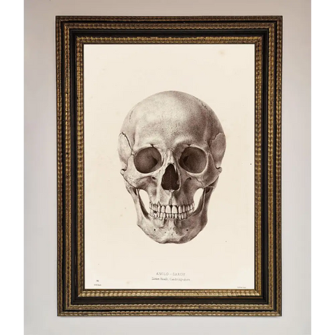 Skull Science Framed Poster - A3 (29.7 x 42 cm) / Ornate Gold Black - Framed Print