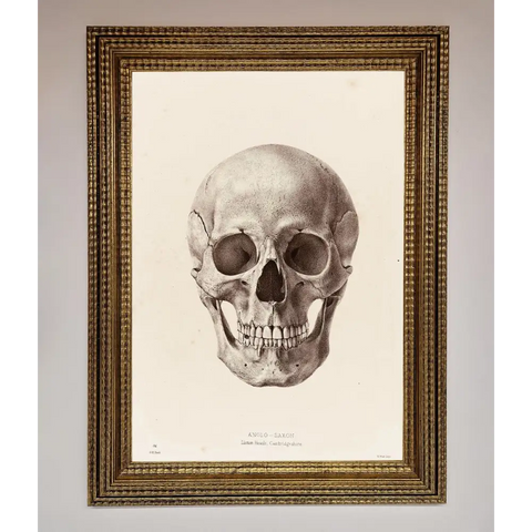 Skull Science Framed Poster - A3 (29.7 x 42 cm) / Ornate Gold - Framed Print
