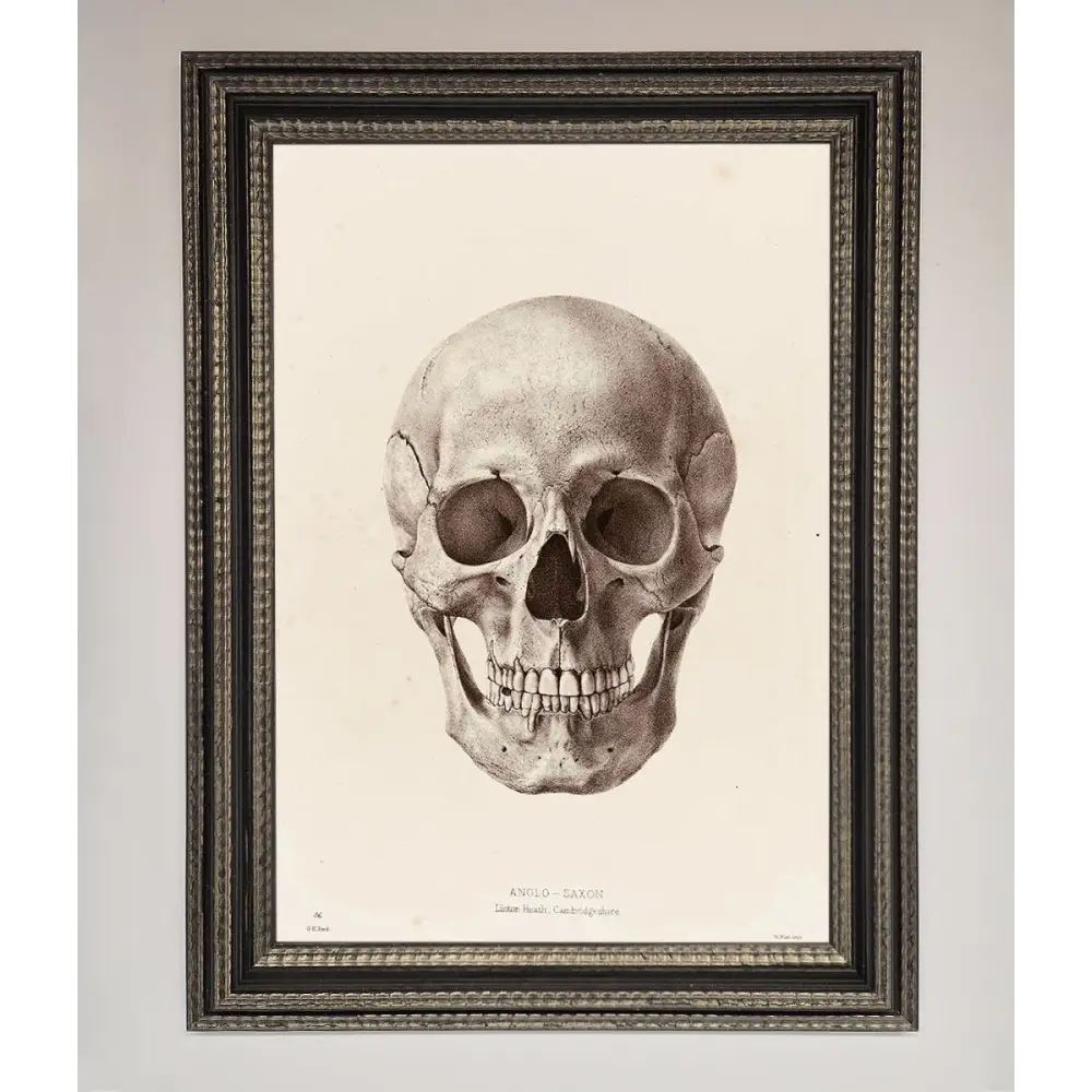 Skull Science Framed Poster - A3 (29.7 x 42 cm) / Ornate Silver Black - Framed Print