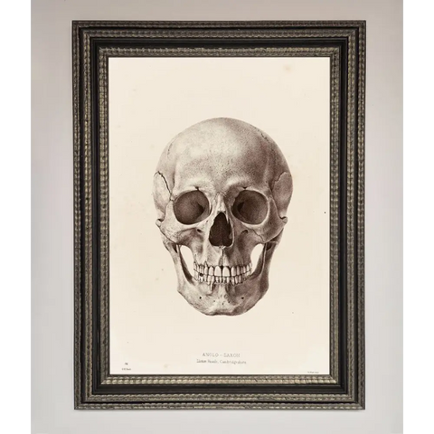 Skull Science Framed Poster - A3 (29.7 x 42 cm) / Ornate Silver Black - Framed Print