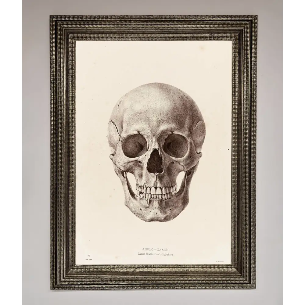 Skull Science Framed Poster - A3 (29.7 x 42 cm) / Ornate Silver - Framed Print