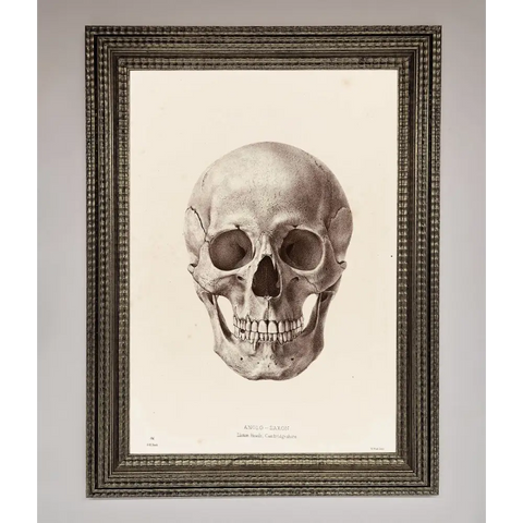 Skull Science Framed Poster - A3 (29.7 x 42 cm) / Ornate Silver - Framed Print