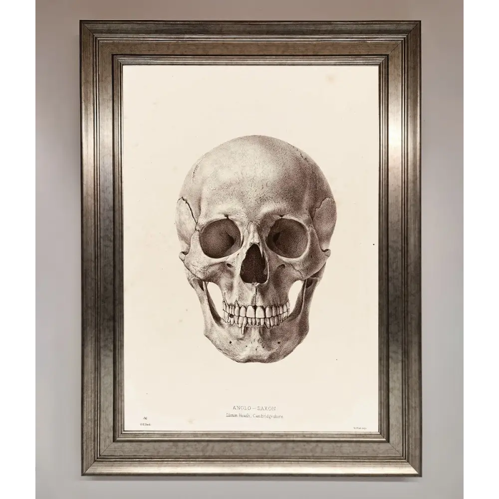 Skull Science Framed Poster - A3 (29.7 x 42 cm) / Silver - Framed Print
