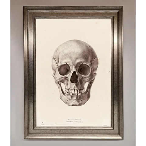 Skull Science Framed Poster - A3 (29.7 x 42 cm) / Silver - Framed Print