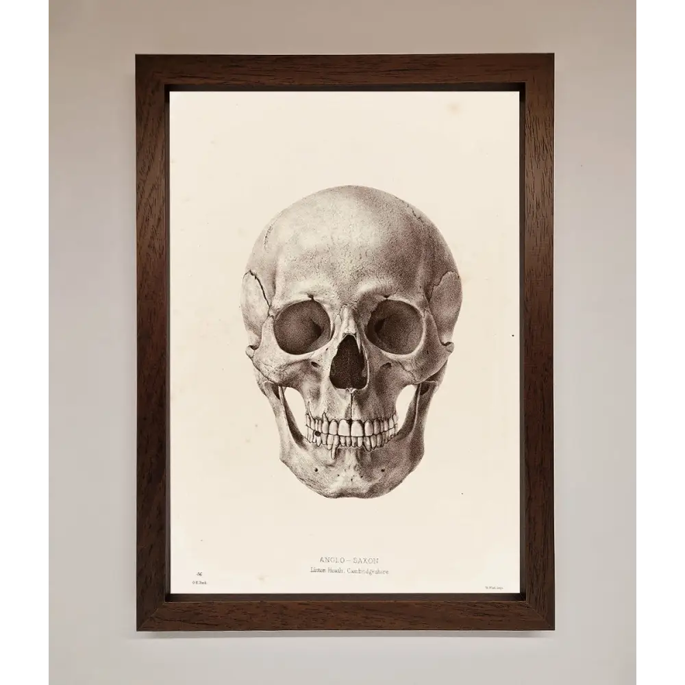 Skull Science Framed Poster - A3 (29.7 x 42 cm) / Walnut - Framed Print