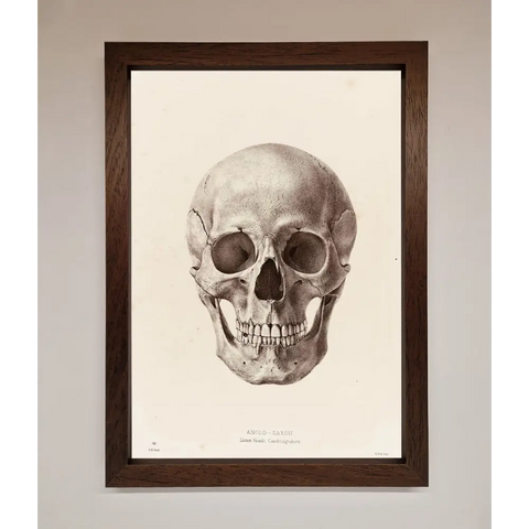 Skull Science Framed Poster - A3 (29.7 x 42 cm) / Walnut - Framed Print