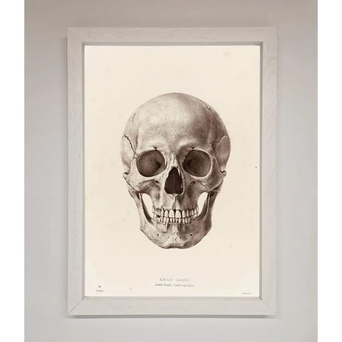 Skull Science Framed Poster - A3 (29.7 x 42 cm) / White - Framed Print