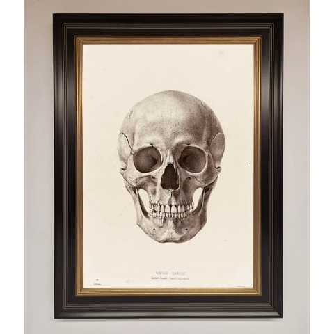 Skull Science Framed Poster - B0 (100 x 141 cm) / Black Gold - Framed Print