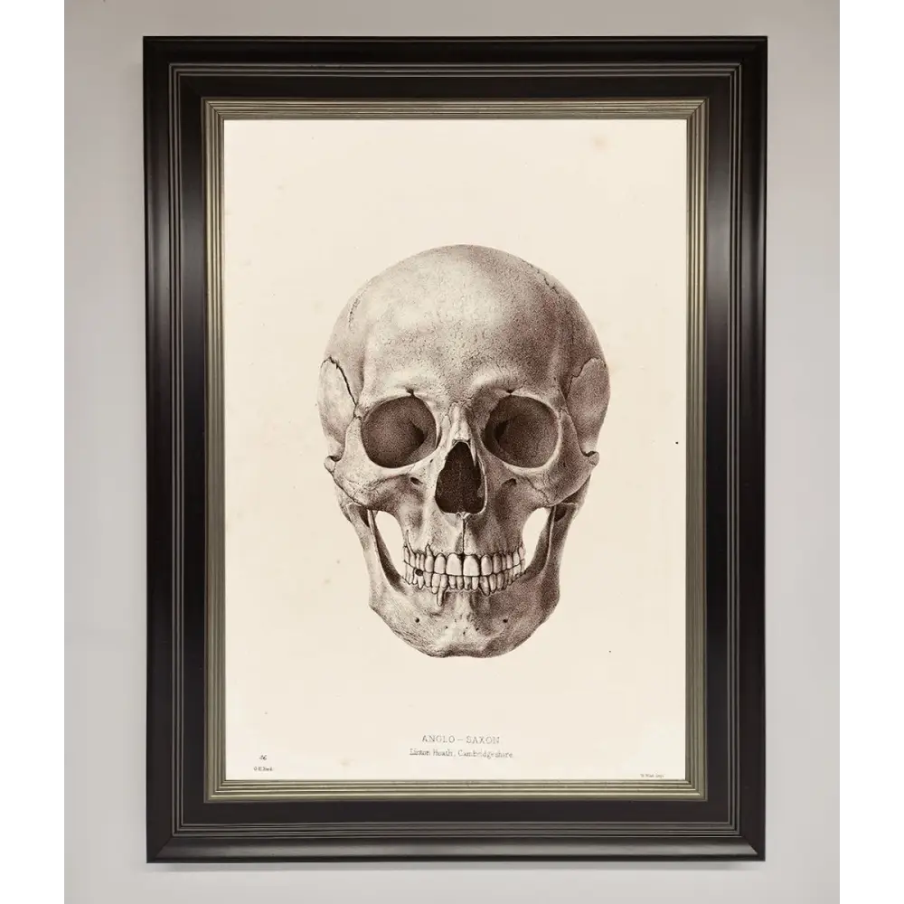 Skull Science Framed Poster - B0 (100 x 141 cm) / Black Silver - Framed Print