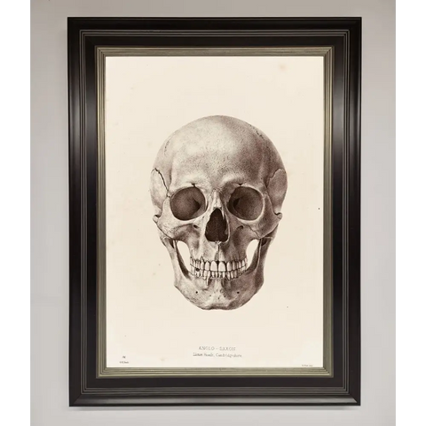 Skull Science Framed Poster - B0 (100 x 141 cm) / Black Silver - Framed Print