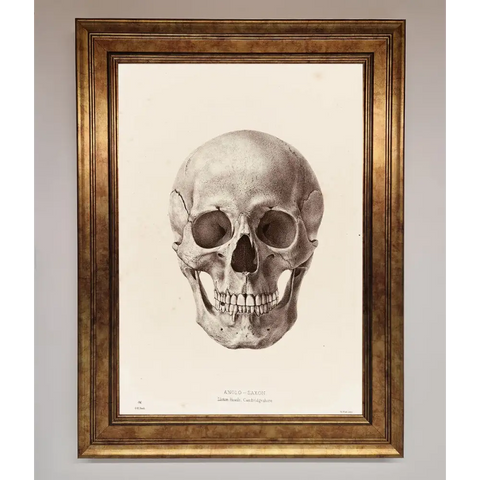 Skull Science Framed Poster - B0 (100 x 141 cm) / Bronze - Framed Print