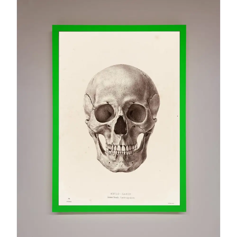 Skull Science Framed Poster - B0 (100 x 141 cm) / Neon Dark Green - Framed Print