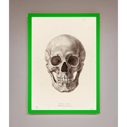 Skull Science Framed Poster - B0 (100 x 141 cm) / Neon Dark Green - Framed Print