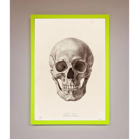 Skull Science Framed Poster - B0 (100 x 141 cm) / Neon Green - Framed Print