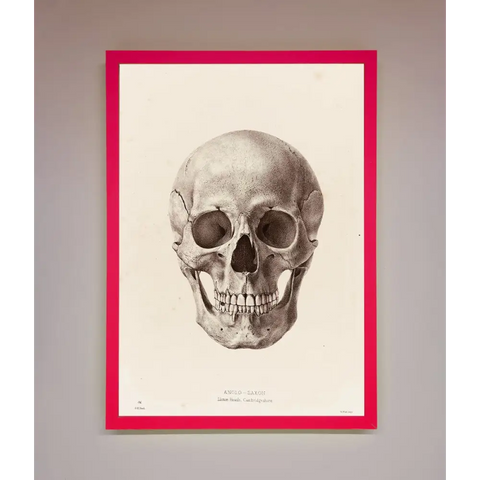 Skull Science Framed Poster - B0 (100 x 141 cm) / Neon Pink - Framed Print