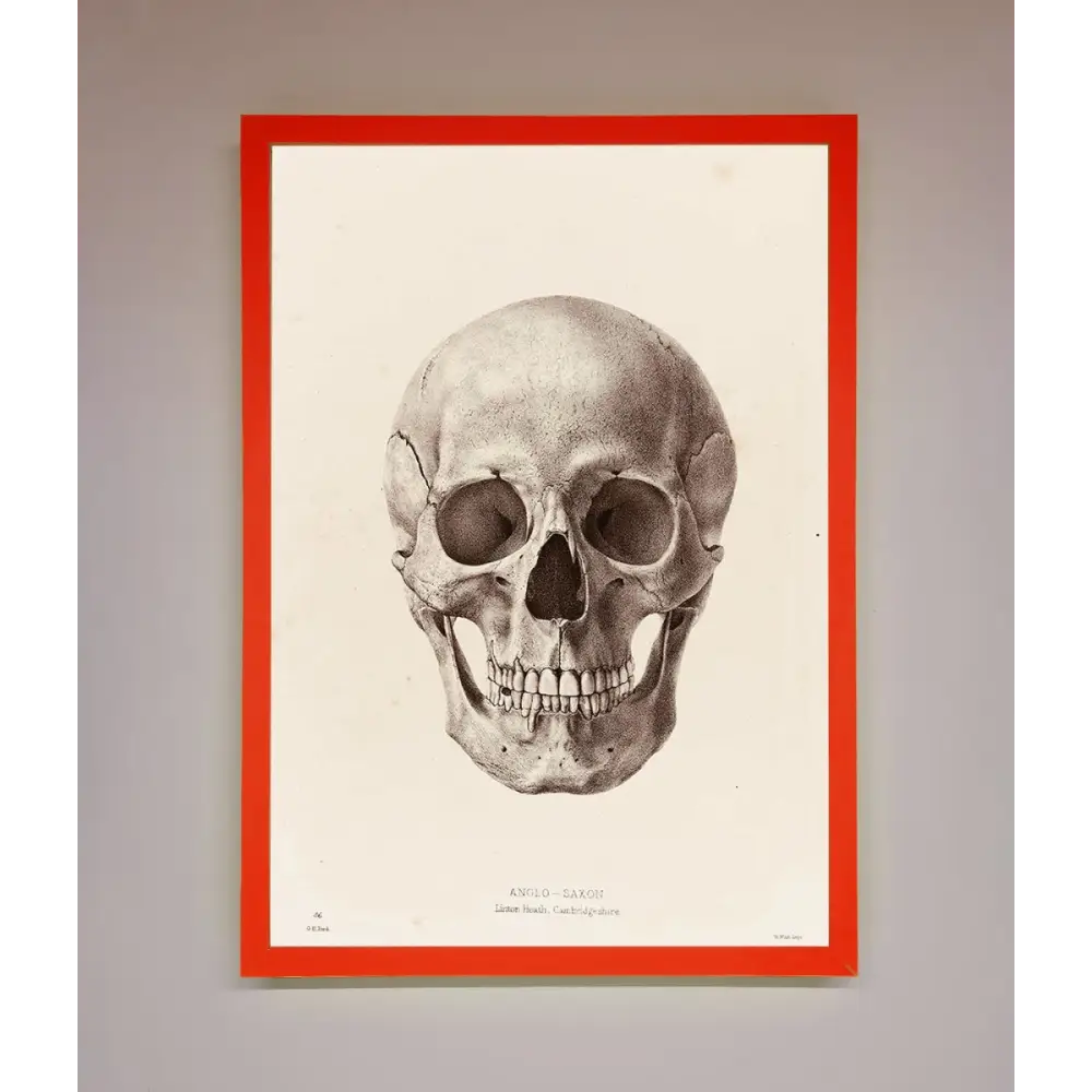 Skull Science Framed Poster - B0 (100 x 141 cm) / Neon Red - Framed Print