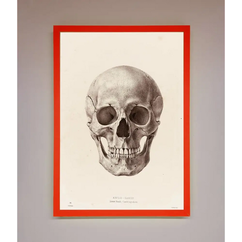 Skull Science Framed Poster - B0 (100 x 141 cm) / Neon Red - Framed Print