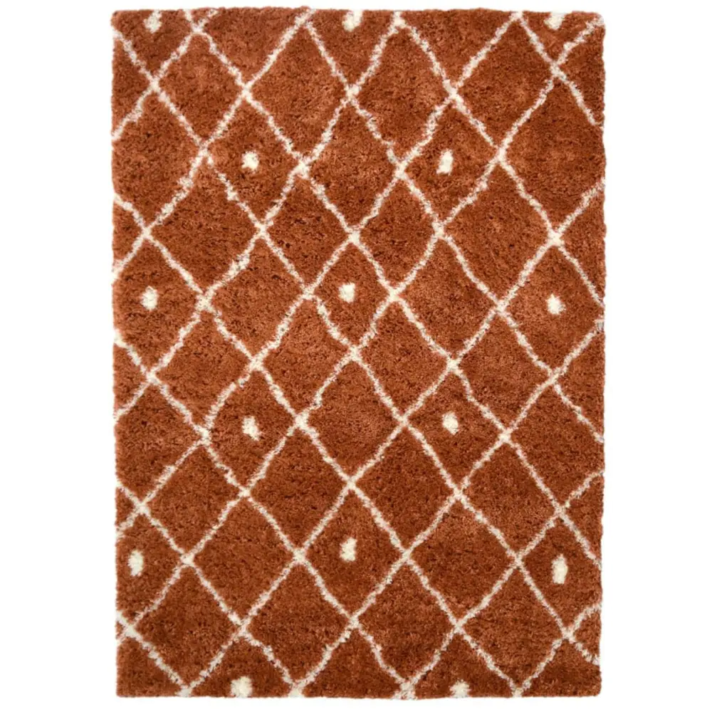 Snug Nomadic Shaggy Rug | I044A - 120X170 cm / Orange - Rugs
