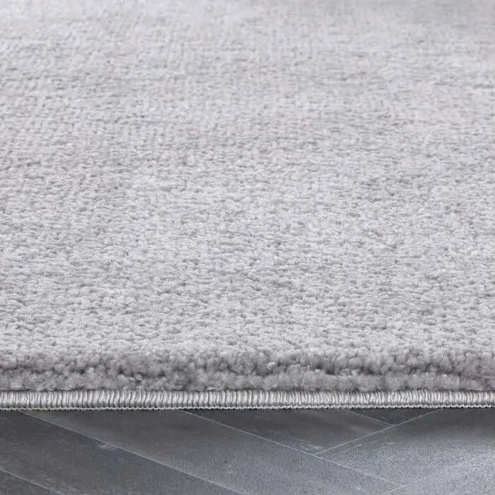 Soft Washable Shaggy Rug - Rugs