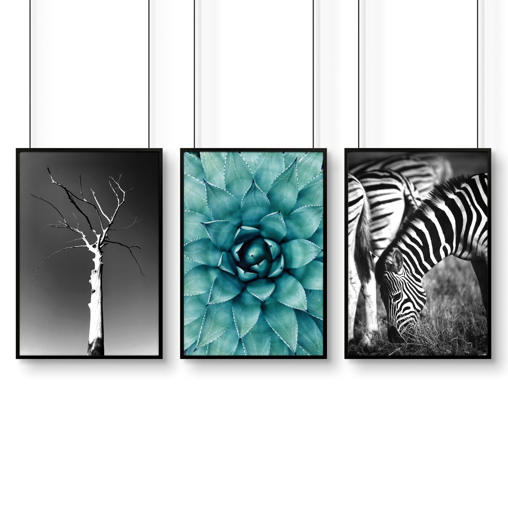 Soothing Wall Art | Set of 3 African Wildlife Wall art Prints