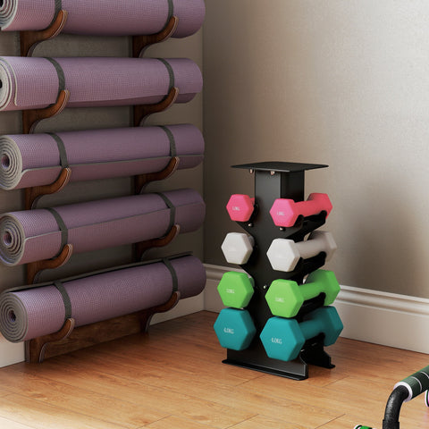 Sportnow hex dumbbells set with black hexagonal rack holding colorful weight plates for home gym strength training