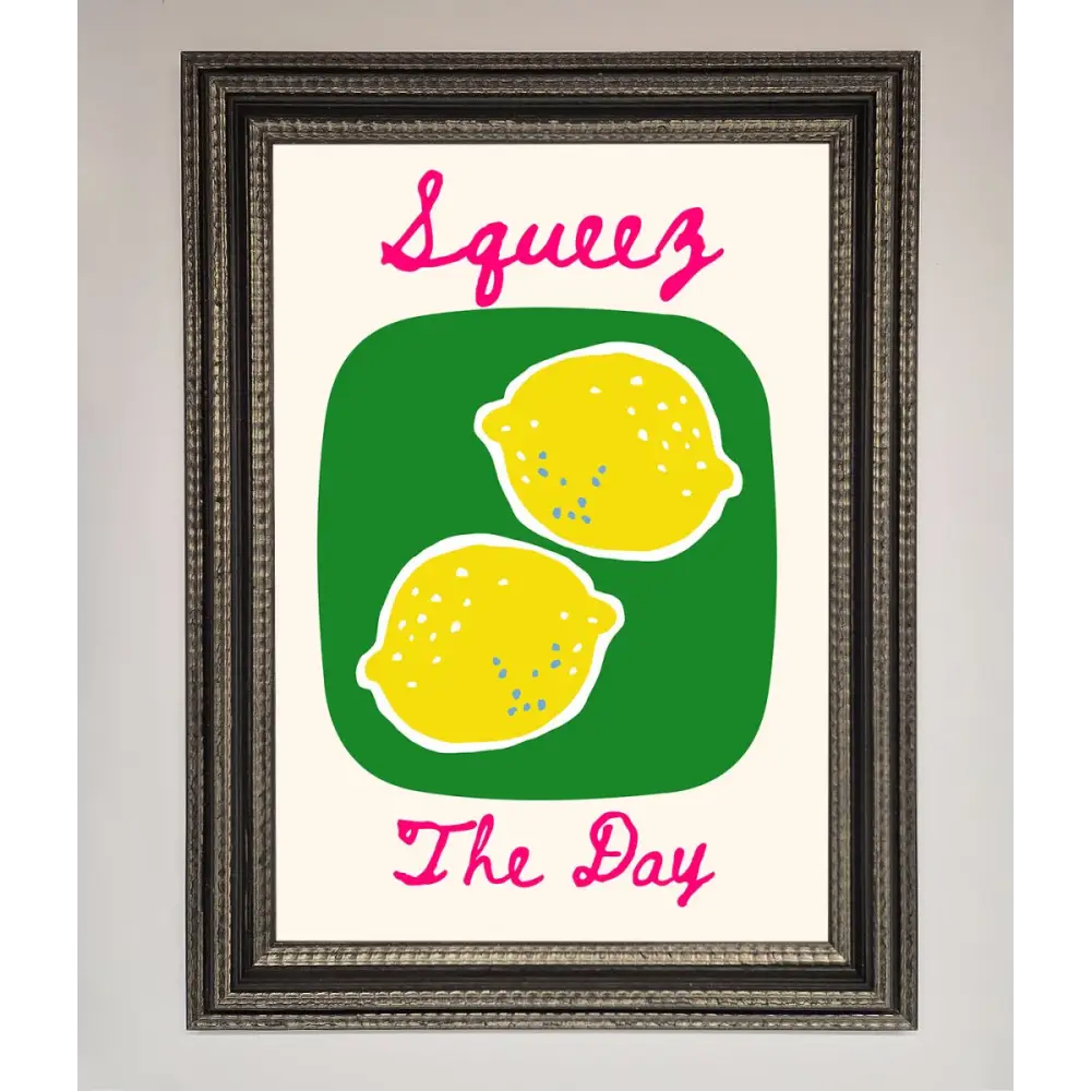 Squeeze The Day Framed Poster - A3 (29.7 x 42 cm) / Ornate Silver Black - Framed Print