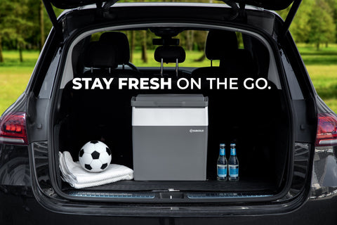 Gray and white portable subcold euro30 cool box with sleek modern design perfect for thermoelectric cooling on the go