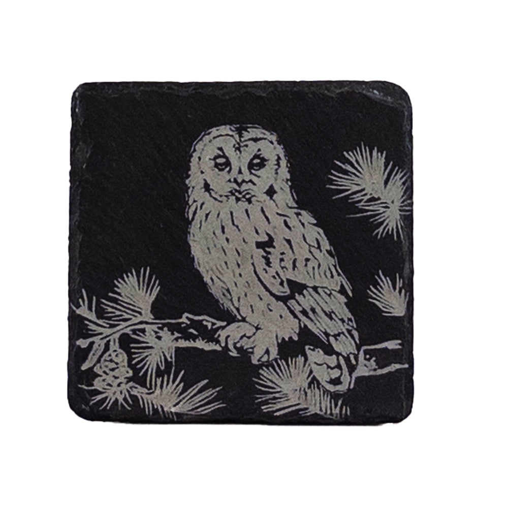 Black slate coaster with a detailed etched tawny owl perched on pine branches perfect for drinks protection