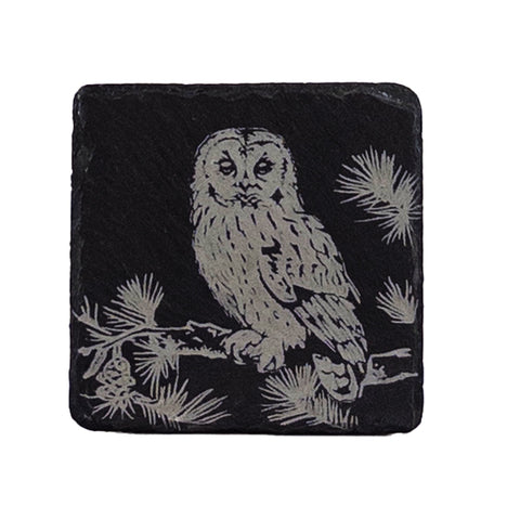 Black slate coaster with a detailed etched tawny owl perched on pine branches perfect for drinks protection