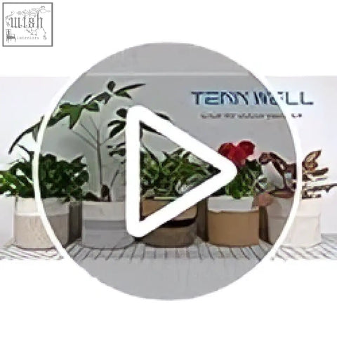 A sleek silver metal play button with red accent alongside a white and grey tenn well 20cm plant pot for indoor plants
