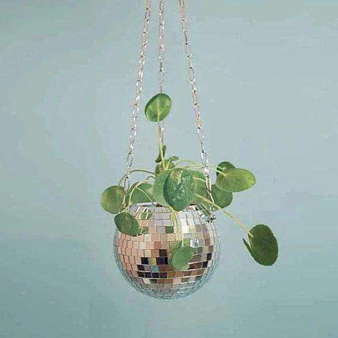 A hanging disco ball planter with reflective mirrored surface and silver chains perfect for funky indoor plants