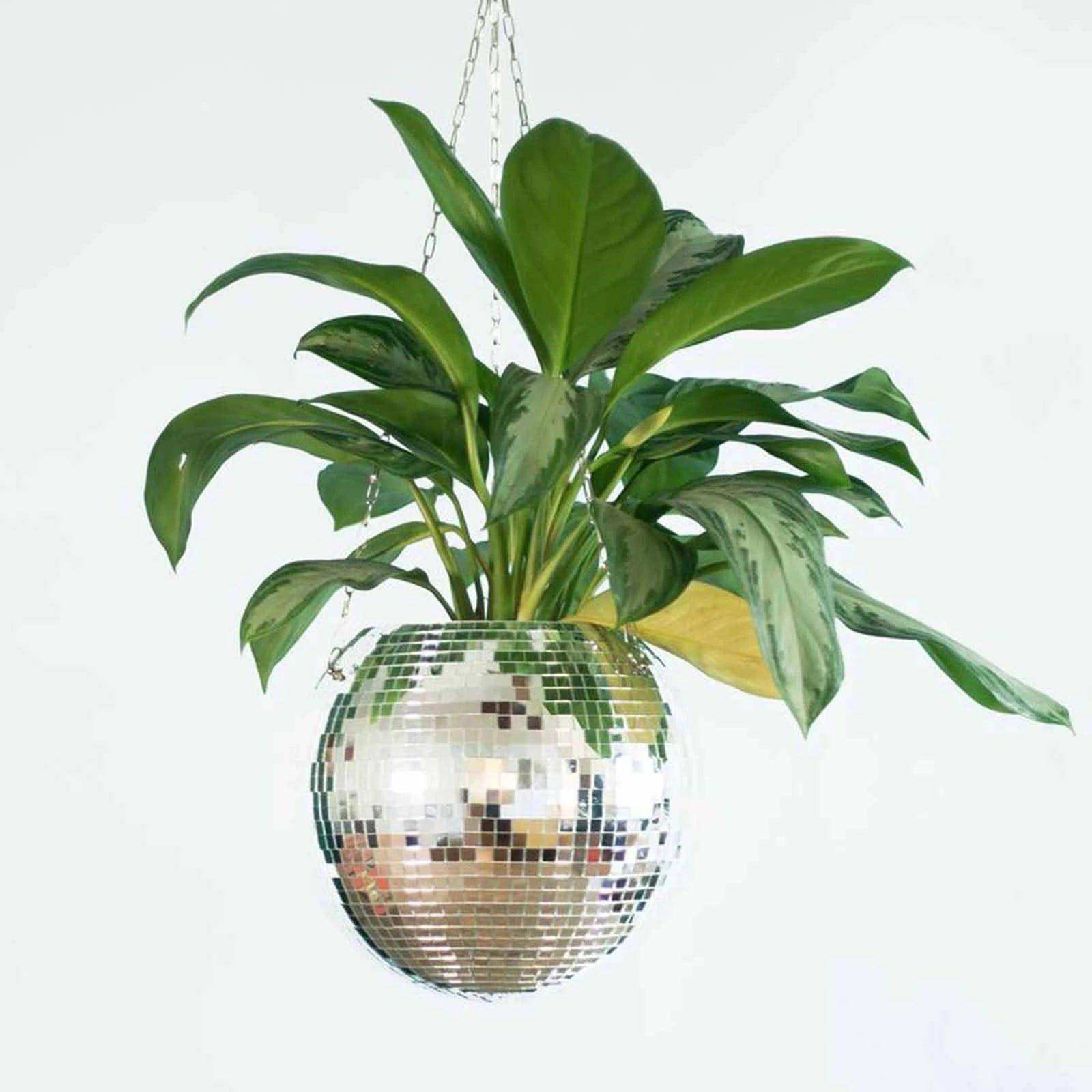A hanging plant with glossy green leaves inside a reflective mirrored disco ball planter called the disco planter