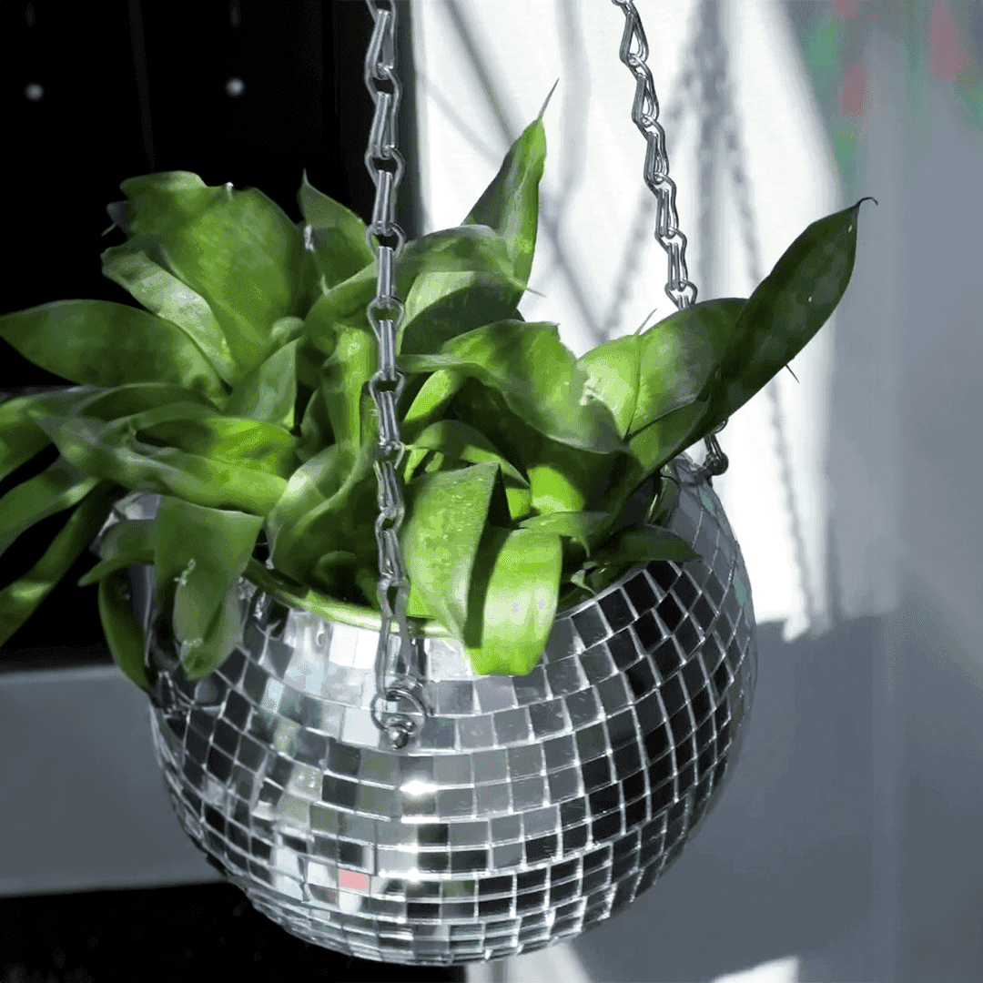 A shiny silver disco ball planter with mosaic mirror surface hanging by chains filled with lush green leaves